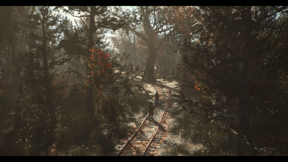 Хвойные деревья Содружества - Перерождение / Commonwealth Conifers Redux